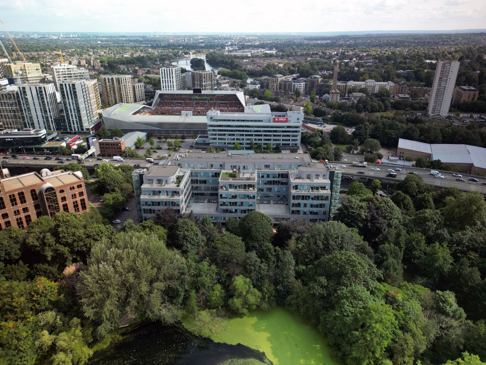Buildings with rooftop greenery