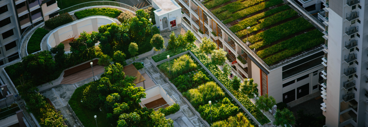 Aerial view of rooftop gardens between buildings